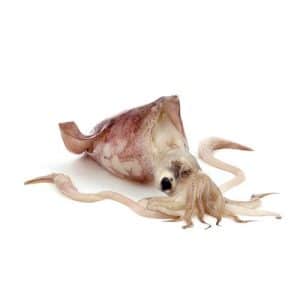 كلامار محلي 500g